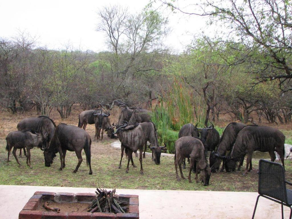 Turaco Lodge - No Loadshedding Marloth Park Dış mekan fotoğraf