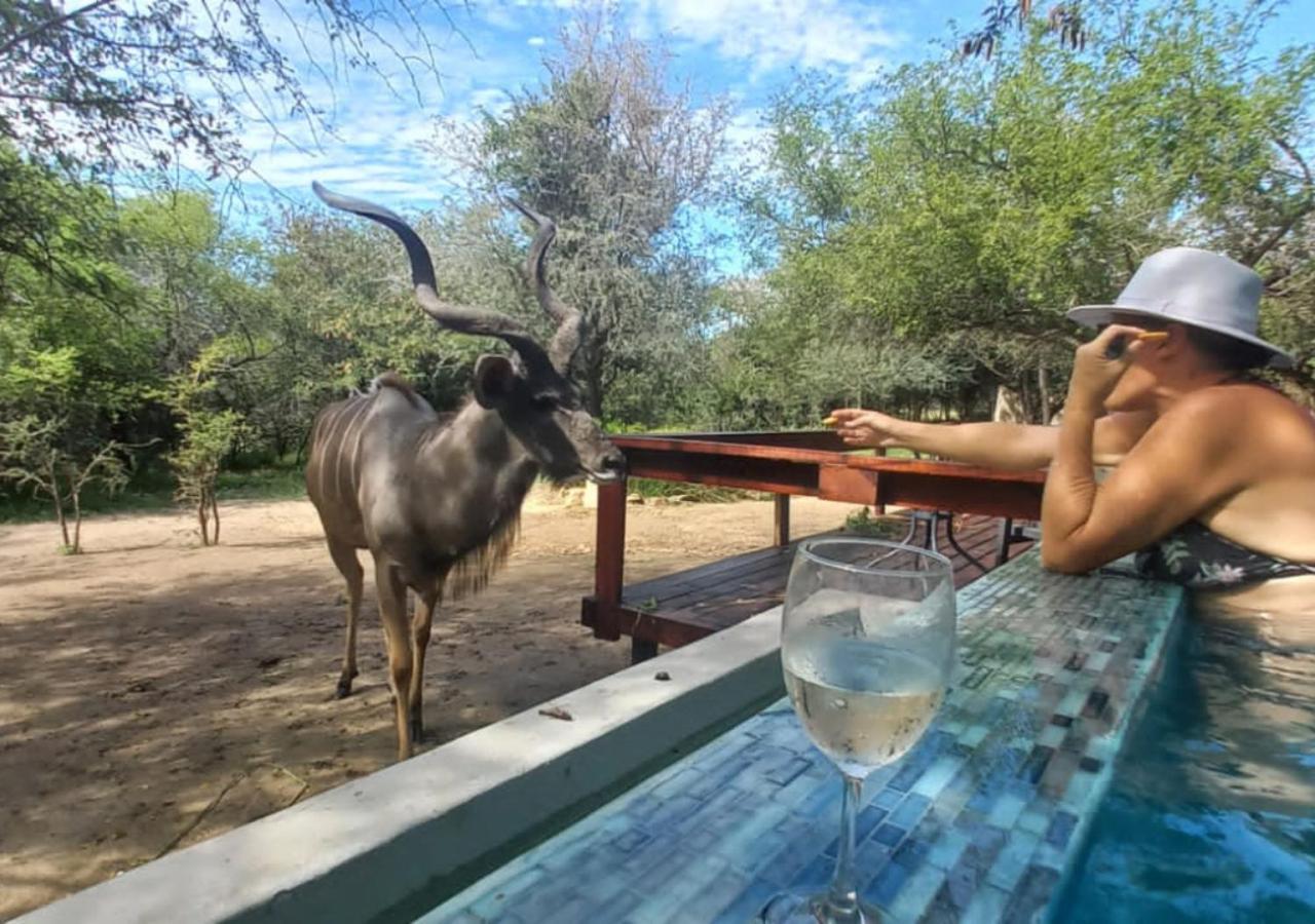 Turaco Lodge - No Loadshedding Marloth Park Dış mekan fotoğraf