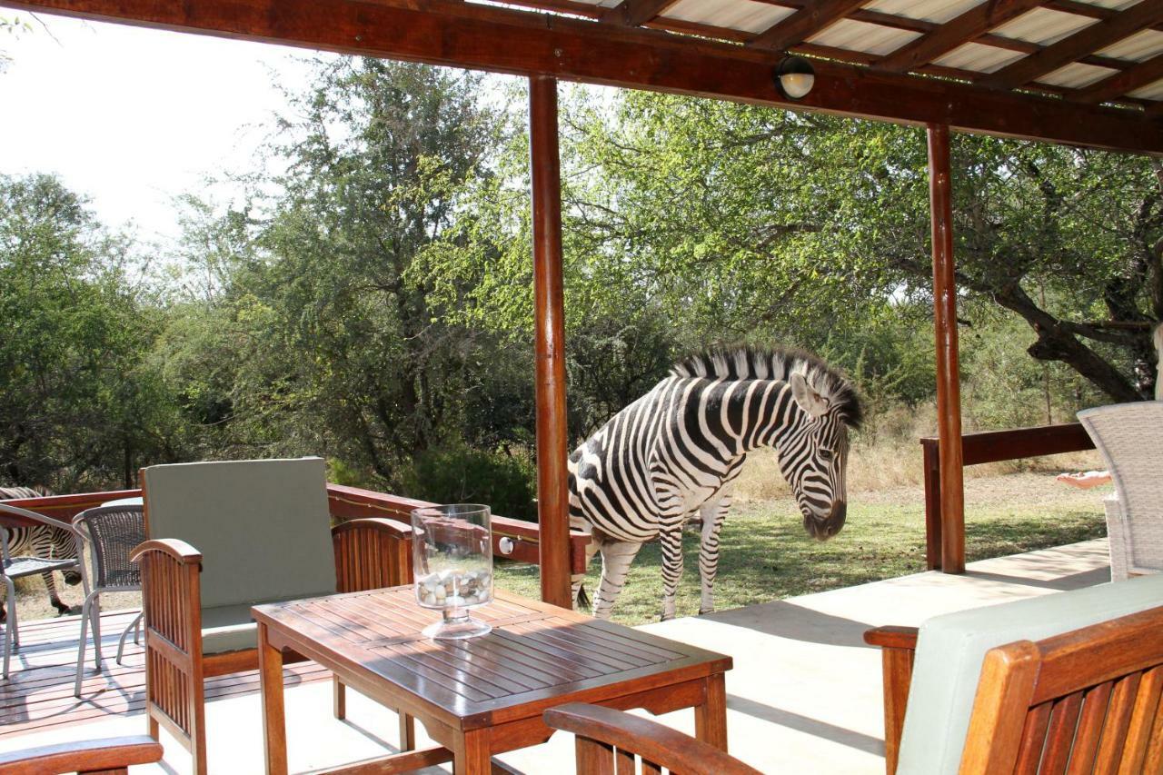 Turaco Lodge - No Loadshedding Marloth Park Dış mekan fotoğraf